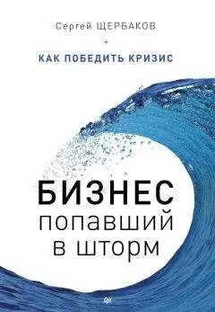 Сергей Щербаков - Бизнес, попавший в шторм. Как победить кризис
