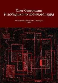 Олег Северюхин - В лабиринтах тёмного мира. Том 2