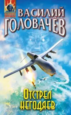 Василий Головачев - Отстрел негодяев