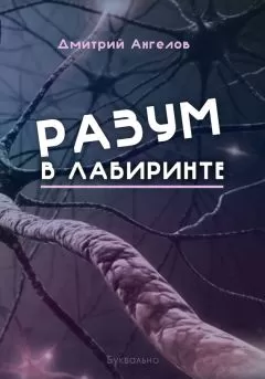 Дмитрий Ангелов - Разум в лабиринте
