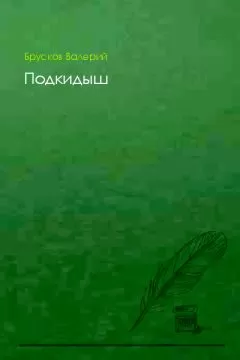 Валерий Брусков - Подкидыш
