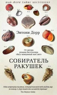 Энтони Дорр - Собиратель ракушек