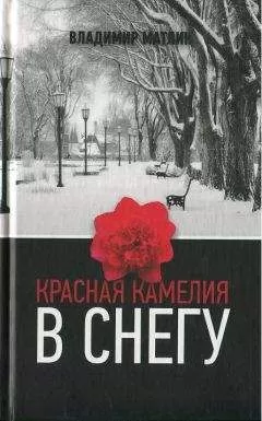 Владимир Матлин - Красная камелия в снегу
