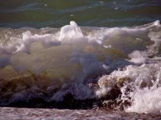 Елена Блонди - Судовая роль, или Путешествие Вероники