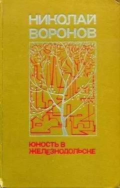 Николай Воронов - Юность в Железнодольске