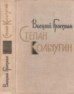 Василий Гроссман - Степан Кольчугин. Книга вторая
