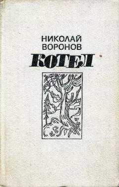 Николай Воронов - Котел. Книга первая