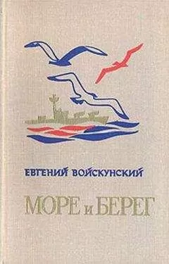 Евгений Войскунский - «Годки»