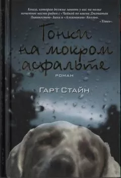Гарт Стайн - Гонки на мокром асфальте