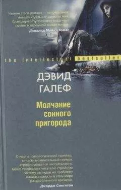 Дэвид Галеф - Молчание сонного пригорода