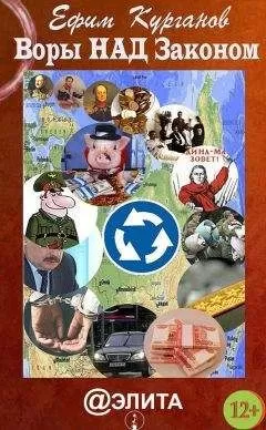 Ефим Курганов - Воры над законом, или Дело Политковского