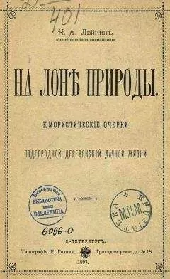 Николай Лейкин - В деревне