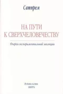 Сатпрем - НА ПУТИ К СВЕРХЧЕЛОВЕЧЕСТВУ: Очерки экспериментальной эволюции