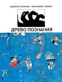 Умберто Матурана - Древо познания