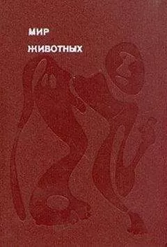Игорь Акимушкин - Мир животных. Том 2