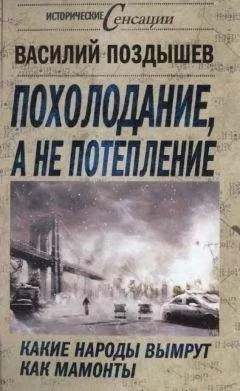Василий Поздышев - Похолодание, а не потепление
