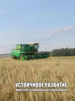 Александр Камянчук - УСТОЙЧИВОЕ РАЗВИТИЕ ИРБИТСКОГО МУНИЦИПАЛЬНОГО ОБРАЗОВАНИЯ Часть вторая