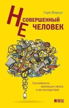 Гари Маркус - Несовершенный человек. Случайность эволюции мозга и ее последствия.