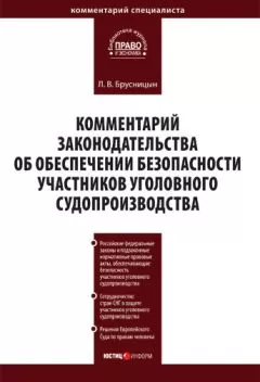 Леонид Брусницын - Комментарий законодательства об обеспечении безопасности участников уголовного судопроизводства