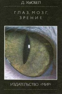 Дэвид Хьюбел - Глаз, мозг, зрение