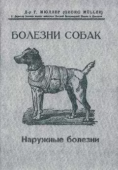 Георг Мюллер - Болезни собак. Краткое руководство. Наружные болезни
