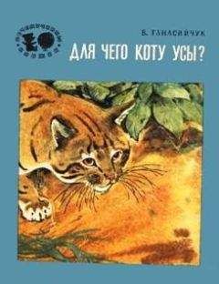 Виталий Танасийчук - Для чего коту усы?