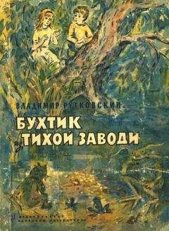 Владимир Рутковский - Бухтик из тихой заводи
