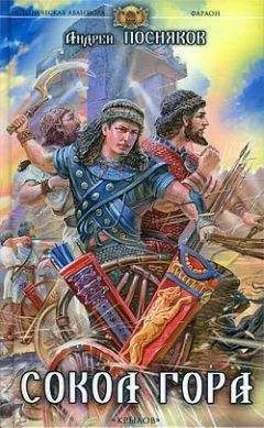 Андрей Посняков - Сокол Гора