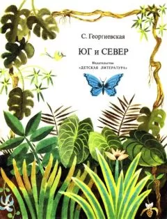 Сусанна Георгиевская - Юг и север