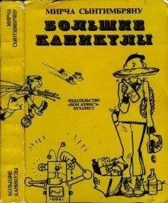 Мирча Сынтимбряну - Большие каникулы