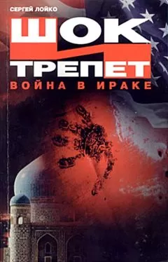 Сергей Лойко - Шок и трепет. Война в Ираке