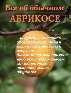Иван Дубровин - Все об обычном абрикосе