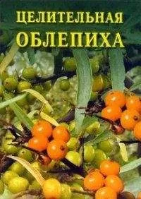 Иван Дубровин - Целительная облепиха