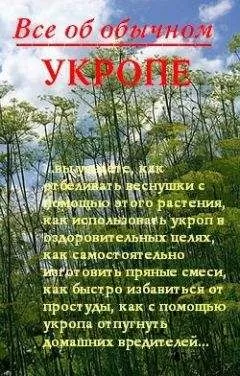 Иван Дубровин - Все об обычном укропе