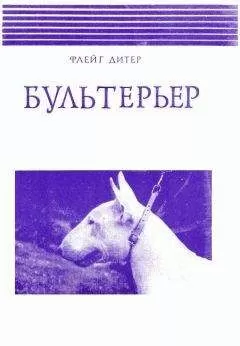 Дитер Флейг - Бультерьер