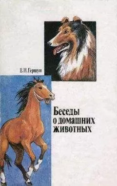 Владимир Гершун - Любящие нас больше, чем себя