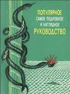Г. Кузьмин - &quot;Френология, физиогномика, хиромантия, хирогномия, графология&quot;. Популярное самое подробное и наглядное руководство