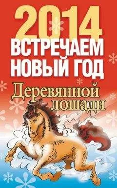 Лариса Конева - Встречаем Новый год 2014