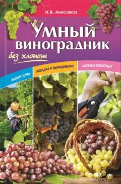 Николай Анисимов - Умный виноградник без хлопот