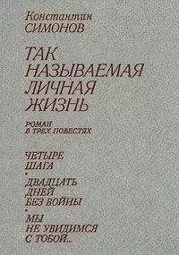 Константин Симонов - Двадцать дней без войны