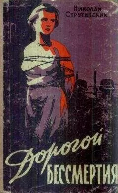 Николай Струтинский - Дорогой бессмертия