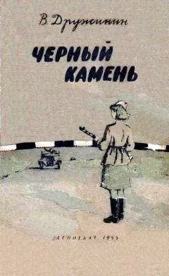 Владимир Дружинин - Черный камень