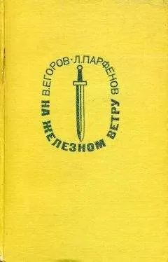 Виктор Егоров - На железном ветру
