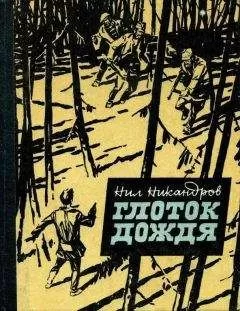 Нил Никандров - Глоток дождя