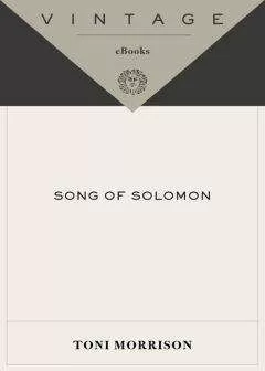 Toni Morrison - Song of Solomon