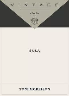 Toni Morrison - Sula