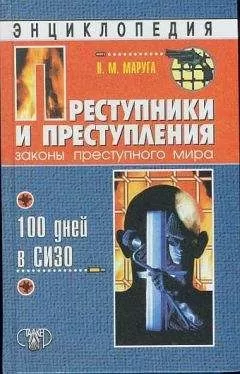 Валерий Маруга - Преступники и преступления. Законы преступного мира. 100 дней в СИЗО