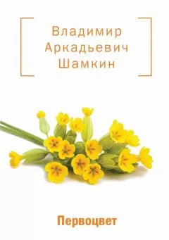 Владимир Шамкин - Первоцвет (сборник)