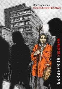 Олег Булыгин - Последний шаман