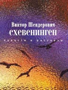 Виктор Шендерович - Схевенинген (сборник)